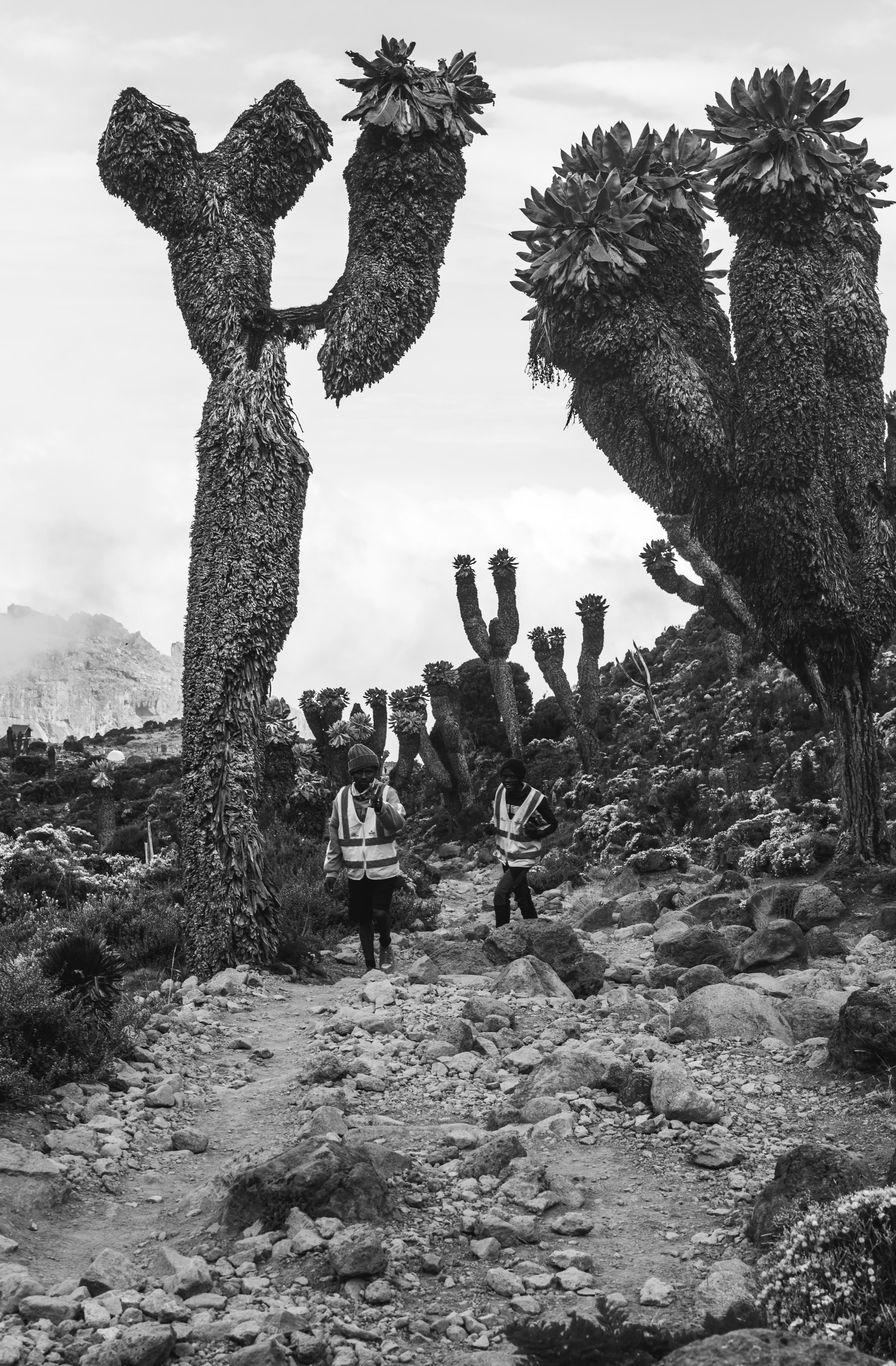 Black and white photo of the porters on Mount Kilimanjaro